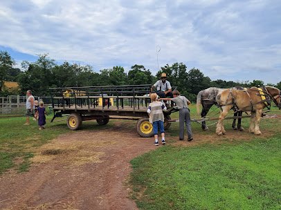 Green Horse Farm Animal Park & Petting Zoo photo 3