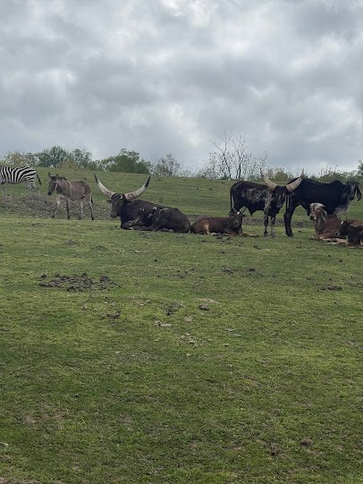 Green Horse Farm Animal Park & Petting Zoo photo 6