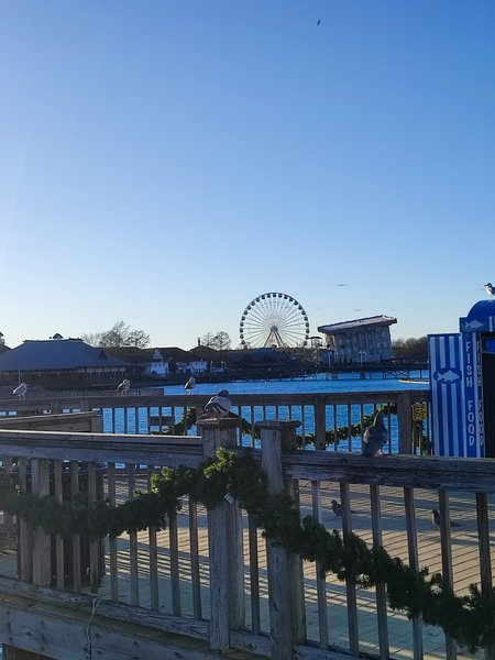 Fun Park photo 4