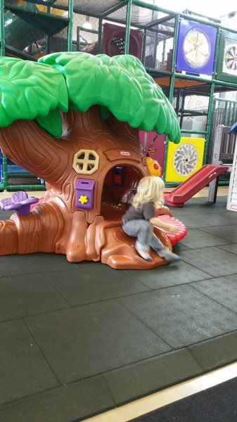 Scotty's Playhouse photo 3