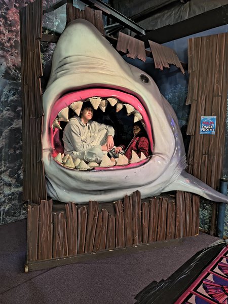 Arnold's Family Fun Center photo 5