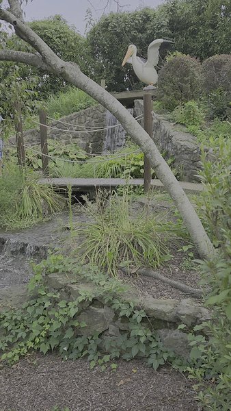 Mini-golf photo 2