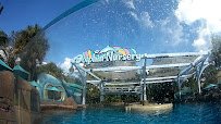 Dolphin Nursery photo 2