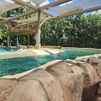 Dolphin Nursery photo 3