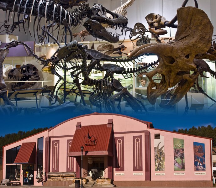 Museum @ Black Hills Institute photo 1