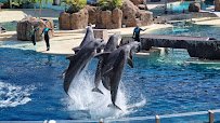 Dolphin Theater