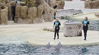 Dolphin Theater photo 2