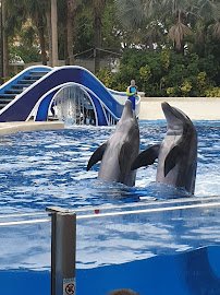 Dolphin Theater photo 3