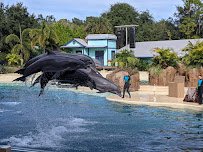 Dolphin Theater photo 4