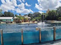 Dolphin Theater photo 6