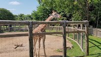 Chattanooga Zoo photo 2