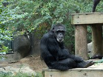 Chattanooga Zoo photo 3