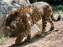 Chattanooga Zoo photo 5