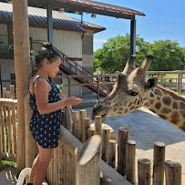 Chattanooga Zoo photo 6