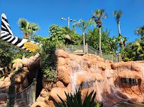 Congo River Golf photo 4