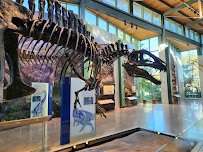 Witte Museum photo 3