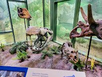 Witte Museum photo 4