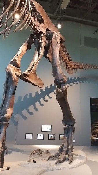 North Dakota Heritage Center & State Museum photo 2