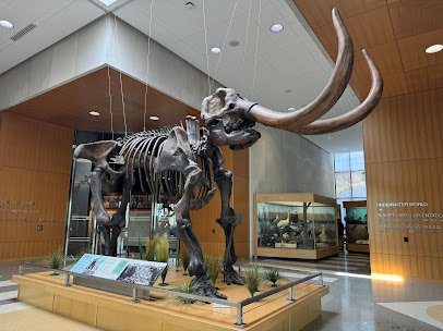 North Dakota Heritage Center & State Museum photo 4