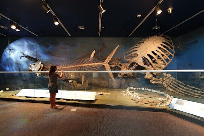 North Dakota Heritage Center & State Museum photo 5