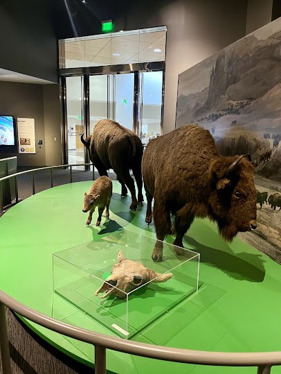 North Dakota Heritage Center & State Museum photo 6