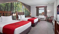 Great Wolf Lodge | Georgia photo 3