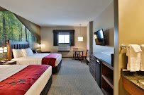 California Dreamin photo 5