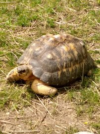 Miller Park Zoo photo 3