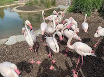 Miller Park Zoo photo 4