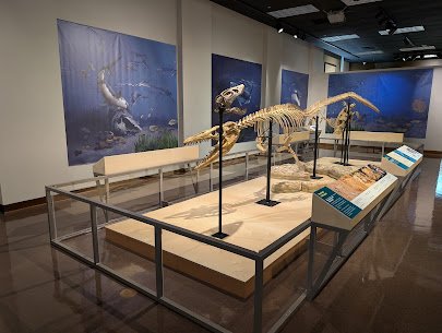 Louisiana State Exhibit Museum photo 5