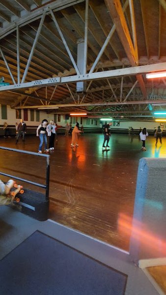 Santa Cruz Roller Palladium photo 2