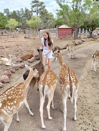 Grand Canyon Deer Farm