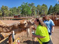 Grand Canyon Deer Farm photo 4