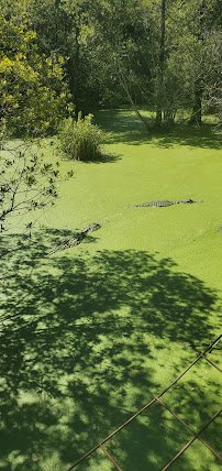 Chehaw Wild Animal Park