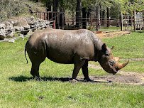 Chehaw Wild Animal Park photo 3
