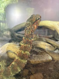 Chehaw Wild Animal Park photo 5