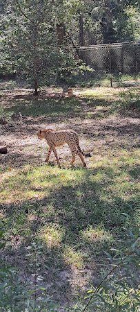 Chehaw Wild Animal Park photo 6