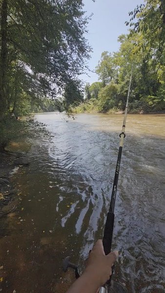 Rivanna Whitewater Park photo 2