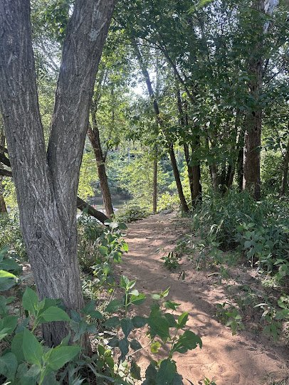 Rivanna Whitewater Park photo 4