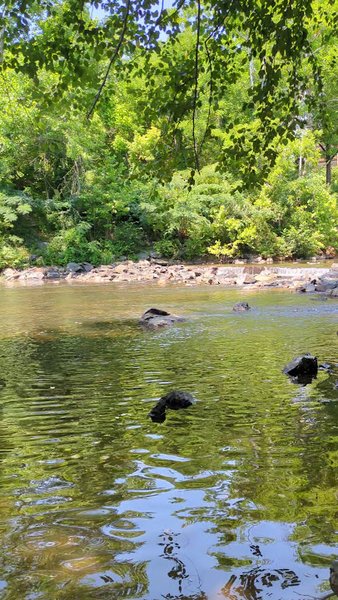 Rivanna Whitewater Park photo 5
