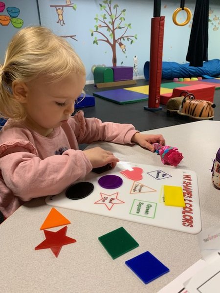 Ignite the Senses Children's Gym photo 3