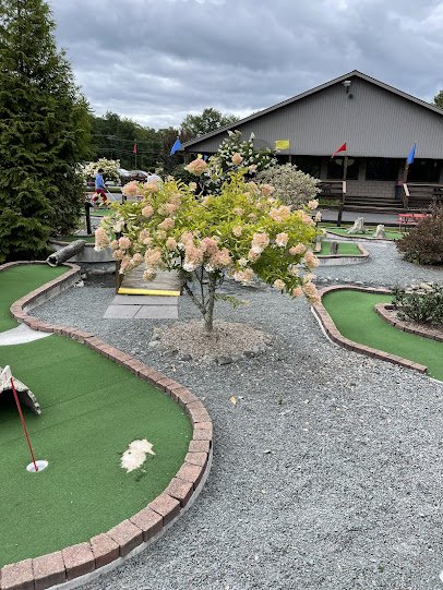 Costa's Family Fun Park photo 6