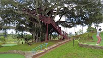 Bay View Mini-Putt and Zipline photo 2