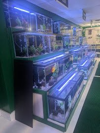 Freshwater Aquatics photo 2