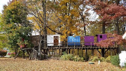 Treehouse World photo 3