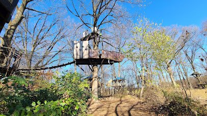 Treehouse World photo 4