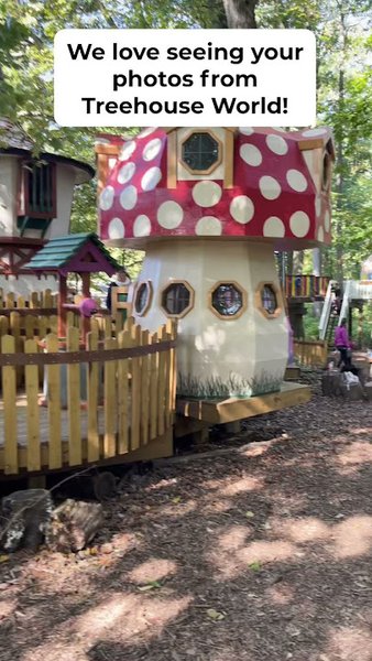 Treehouse World photo 5