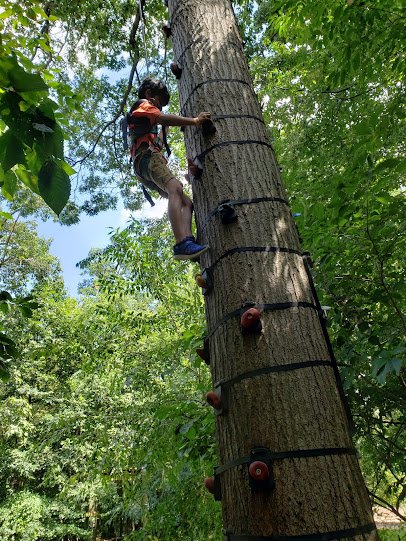 Treehouse World photo 6