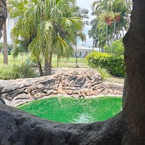 Palmetto Mini-Golf photo 3