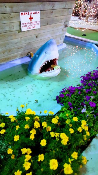 Island Mini Golf photo 5